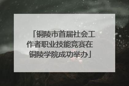铜陵市首届社会工作者职业技能竞赛在铜陵学院成功举办