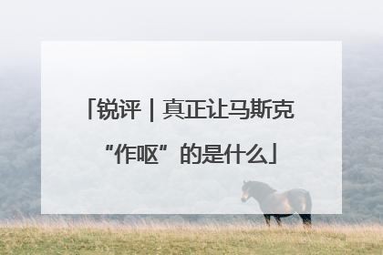 锐评｜真正让马斯克“作呕”的是什么