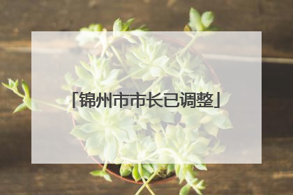 锦州市市长已调整