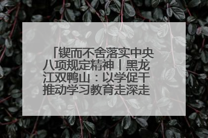 锲而不舍落实中央八项规定精神丨黑龙江双鸭山：以学促干推动学习教育走深走实 从小事入手写好“民生答卷”