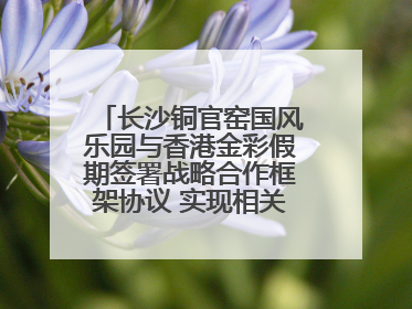 长沙铜官窑国风乐园与香港金彩假期签署战略合作框架协议 实现相关入境游业务增收超亿元