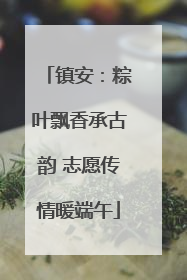 镇安：粽叶飘香承古韵 志愿传情暖端午