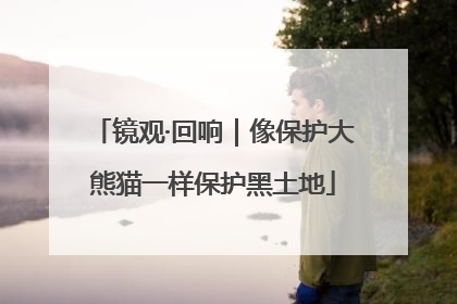 镜观·回响｜像保护大熊猫一样保护黑土地