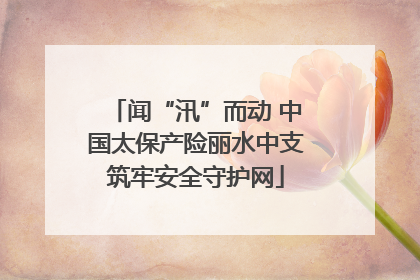 闻“汛”而动 中国太保产险丽水中支筑牢安全守护网