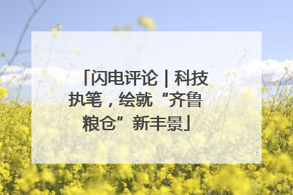 闪电评论｜科技执笔，绘就“齐鲁粮仓”新丰景