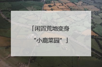 闲置荒地变身“小鹿菜园”