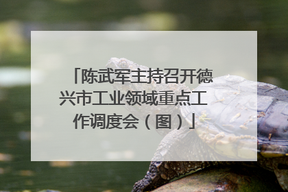 陈武军主持召开德兴市工业领域重点工作调度会（图）