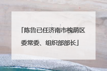 陈鲁已任济南市槐荫区委常委、组织部部长