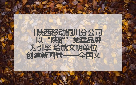陕西移动铜川分公司：以“陕耀”党建品牌为引擎 绘就文明单位创建新画卷——全国文明单位创建纪实