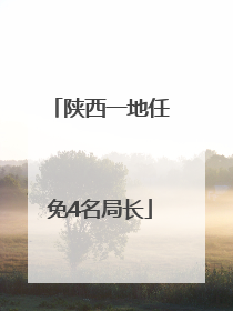 陕西一地任免4名局长