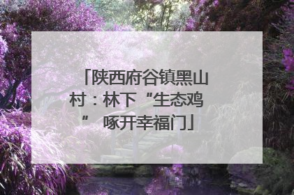 陕西府谷镇黑山村：林下“生态鸡” 啄开幸福门
