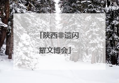 陕西非遗闪耀文博会
