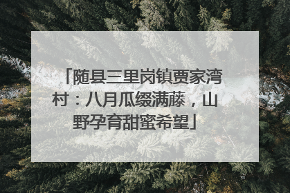 随县三里岗镇贾家湾村：八月瓜缀满藤，山野孕育甜蜜希望