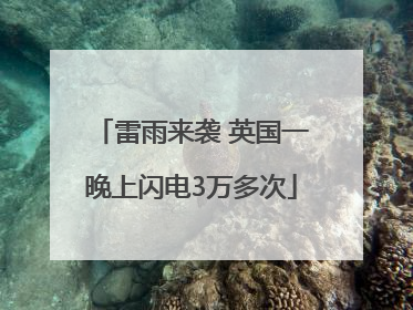 雷雨来袭 英国一晚上闪电3万多次