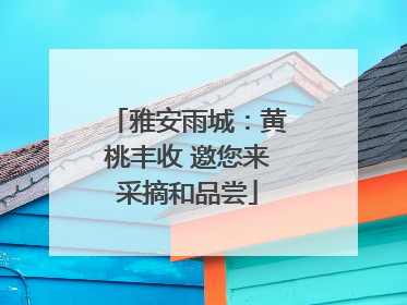 雅安雨城：黄桃丰收 邀您来采摘和品尝