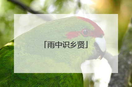 雨中识乡贤