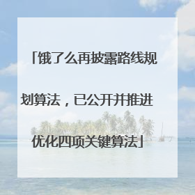 饿了么再披露路线规划算法，已公开并推进优化四项关键算法