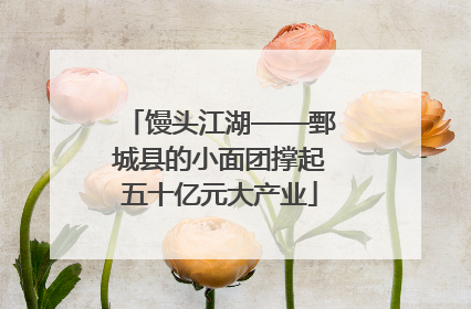 馒头江湖——鄄城县的小面团撑起五十亿元大产业