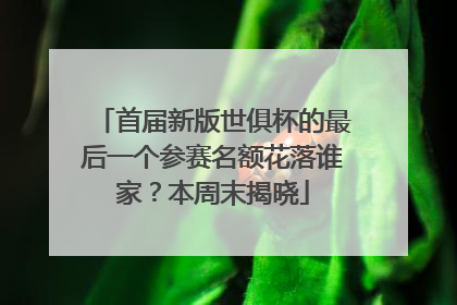 首届新版世俱杯的最后一个参赛名额花落谁家？本周末揭晓
