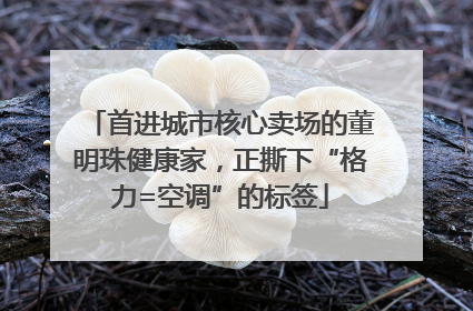 首进城市核心卖场的董明珠健康家，正撕下“格力=空调”的标签