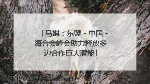马媒：东盟－中国－海合会峰会助力释放多边合作巨大潜能