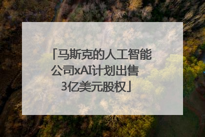 马斯克的人工智能公司xAI计划出售3亿美元股权