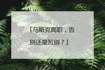 马斯克离职，告别还是暂别？