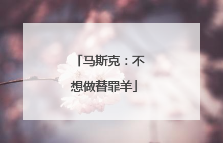 马斯克：不想做替罪羊