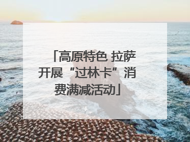 高原特色 拉萨开展“过林卡”消费满减活动