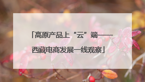 高原产品上“云”端——西藏电商发展一线观察