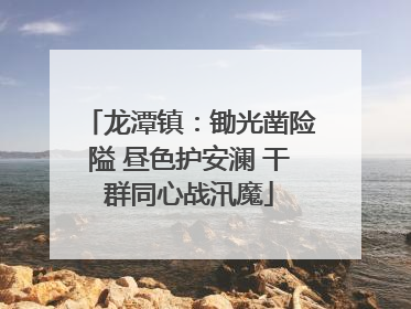 龙潭镇：锄光凿险隘 昼色护安澜 干群同心战汛魔