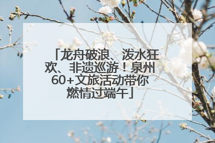 龙舟破浪、泼水狂欢、非遗巡游！泉州60+文旅活动带你燃情过端午