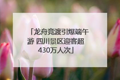 龙舟竞渡引爆端午游 四川景区迎客超430万人次