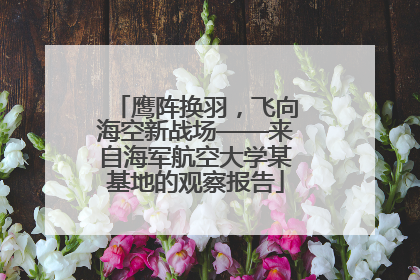 鹰阵换羽，飞向海空新战场——来自海军航空大学某基地的观察报告