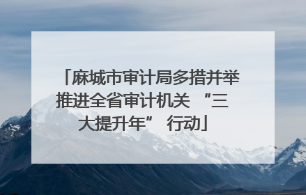 麻城市审计局多措并举推进全省审计机关 “三大提升年” 行动