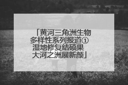 黄河三角洲生物多样性系列报道①湿地修复结硕果 大河之洲展新颜