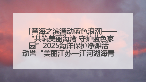 黄海之滨涌动蓝色浪潮——“共筑美丽海湾 守护蓝色家园”2025海洋保护净滩活动暨“美丽江苏—江河湖海青蓝行”海洋篇在连云港举行