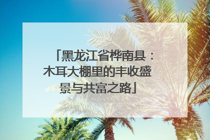 黑龙江省桦南县：木耳大棚里的丰收盛景与共富之路