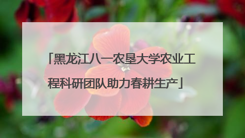 黑龙江八一农垦大学农业工程科研团队助力春耕生产
