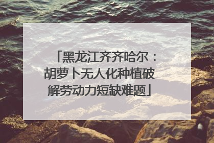 黑龙江齐齐哈尔：胡萝卜无人化种植破解劳动力短缺难题