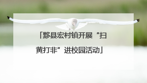 黟县宏村镇开展“扫黄打非”进校园活动