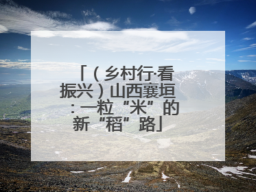 （乡村行·看振兴）山西襄垣：一粒“米”的新“稻”路