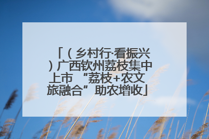 （乡村行·看振兴）广西钦州荔枝集中上市 “荔枝+农文旅融合”助农增收