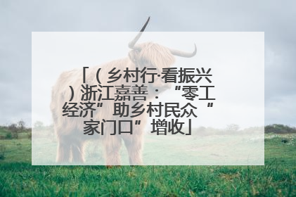 （乡村行·看振兴）浙江嘉善：“零工经济”助乡村民众“家门口”增收