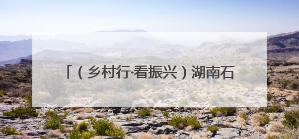 （乡村行·看振兴）湖南石鼓油纸伞撑起富民大产业