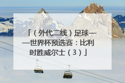 （外代二线）足球——世界杯预选赛：比利时胜威尔士（3）