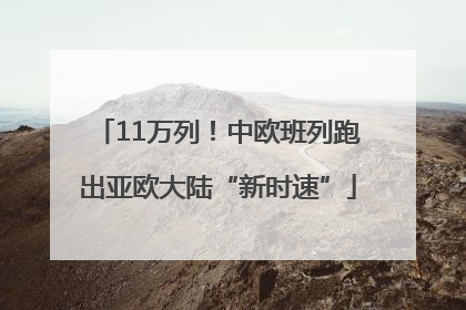 11万列！中欧班列跑出亚欧大陆“新时速”