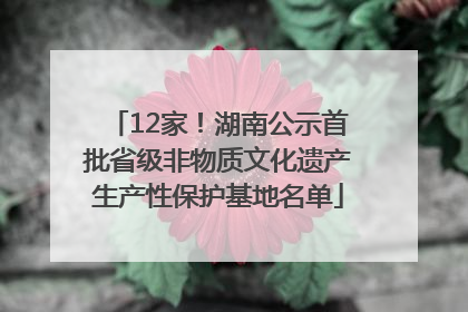 12家！湖南公示首批省级非物质文化遗产生产性保护基地名单