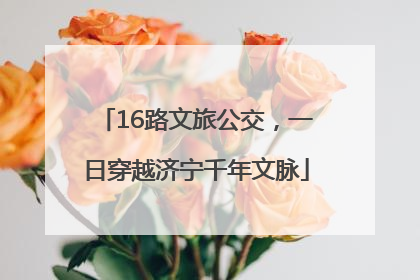 16路文旅公交，一日穿越济宁千年文脉
