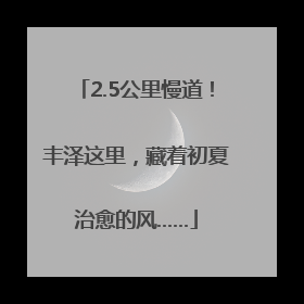 2.5公里慢道！丰泽这里，藏着初夏治愈的风……